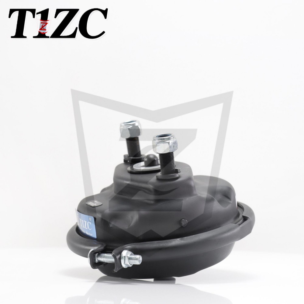 Type XXX fregit camera discus