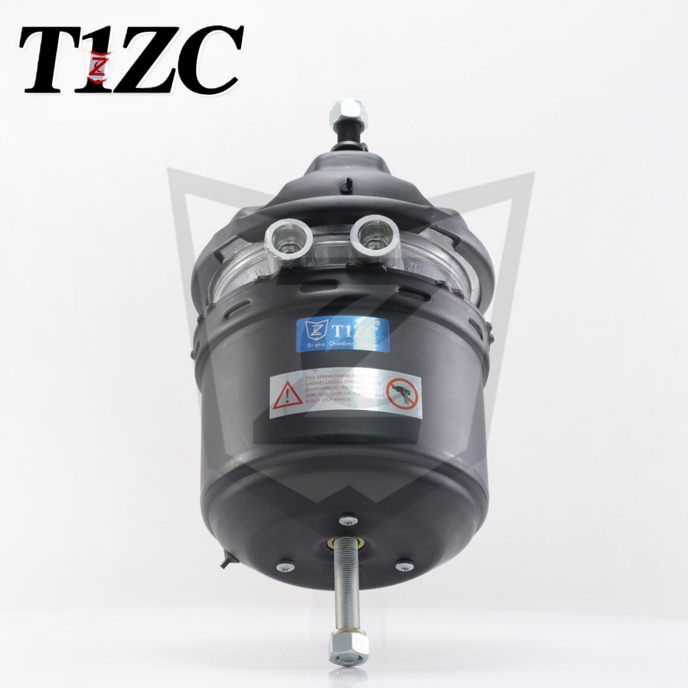 Release T30 DP Discus Discus fregit Terbra