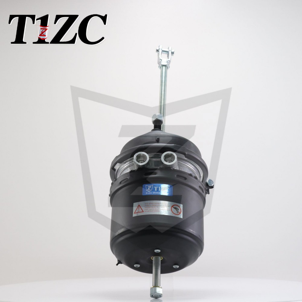 Regularis Release T30 Age Cambria